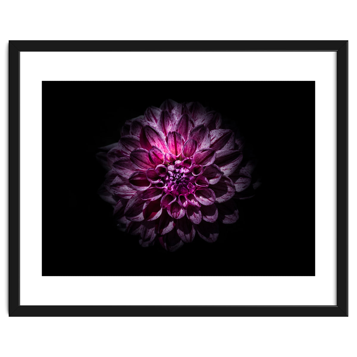 Backyard Flowers No 57 Color Version