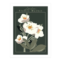 Flower Market London Hellebore (Print Only)