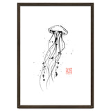 Meduse thumbnail