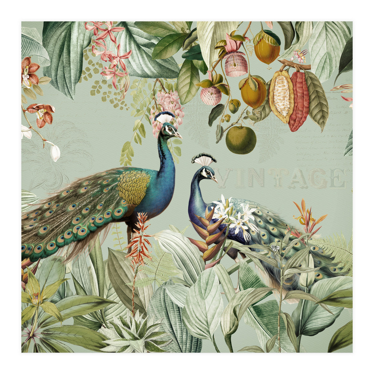 Vintage Exotic Asian Peacocks In Tropical Jungle Landscape (Print Only)