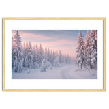 Winter’s Gentle Embrace thumbnail