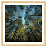 Enchanted Night Forest with Glowing Fireflies thumbnail
