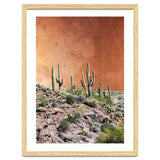 Rustic thumbnail