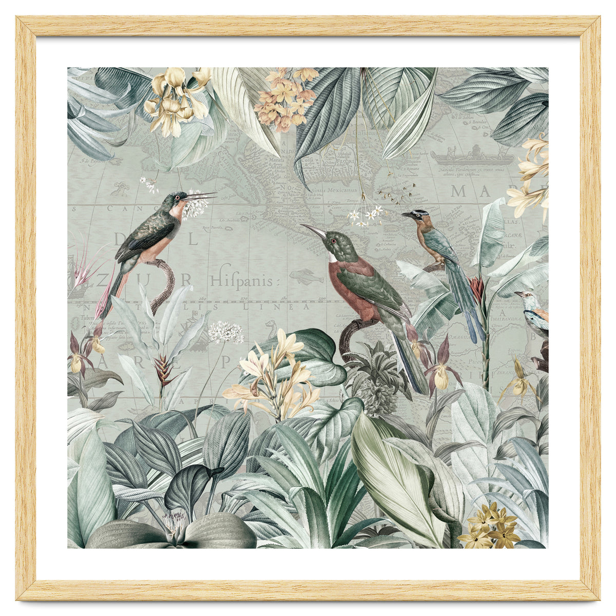Vintage Exotic Birds Paradise Jungle