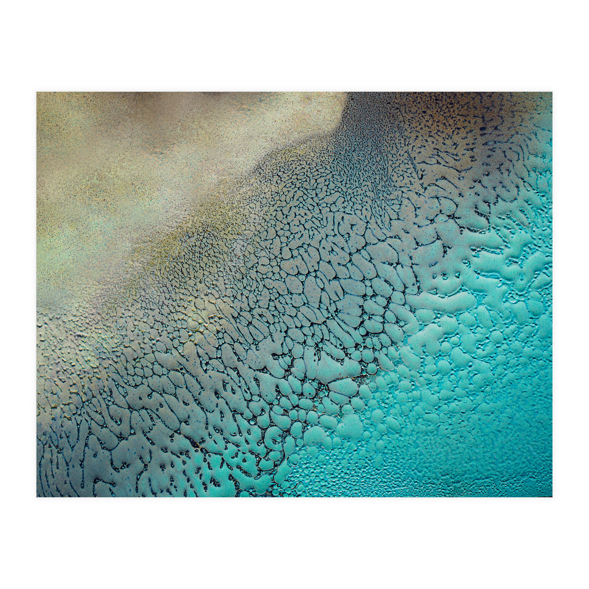 Earthbound (Print Only)