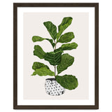 Fiddle Leaf Fig Tree Plant thumbnail