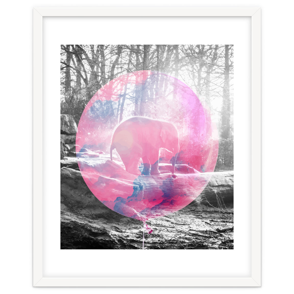 Baby Elephant In A Balloon