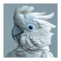 White Cockatoo Bird Portrait Close Up (Print Only)
