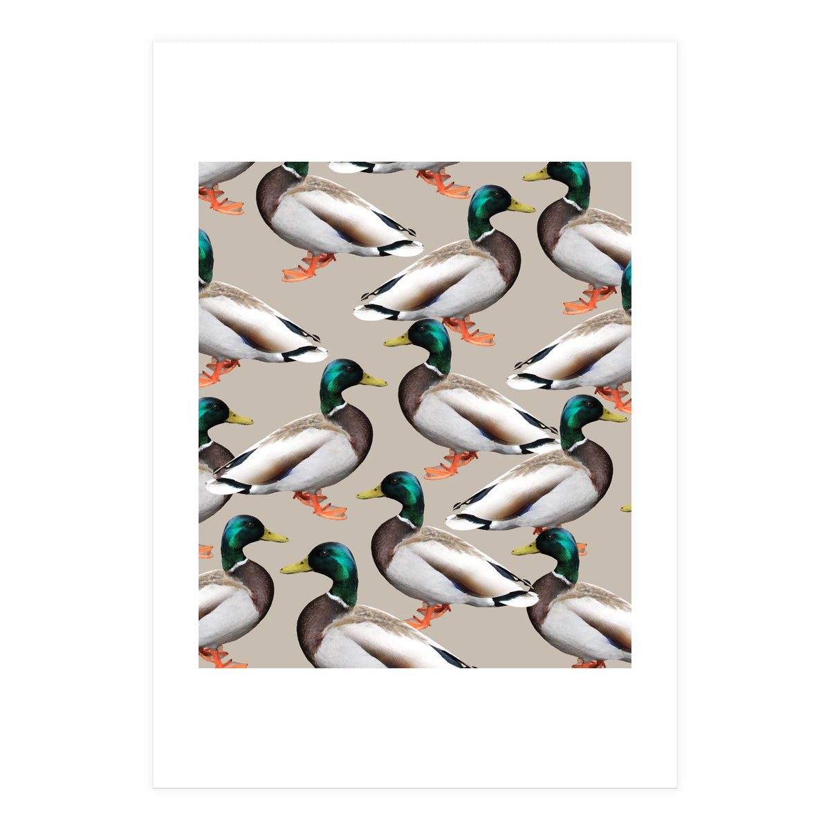 Mallards (Print Only)