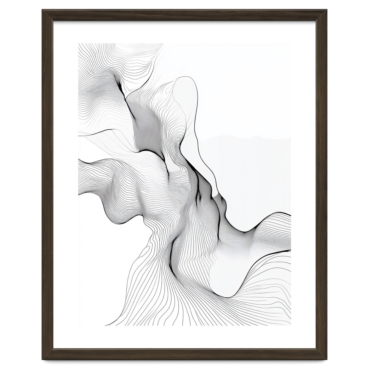 Abstract Black And White Flowing Lines