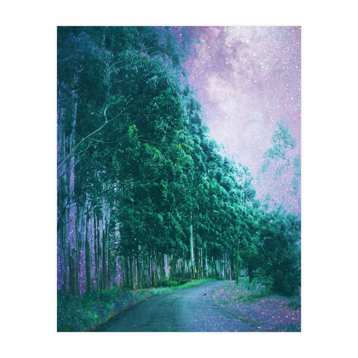 Magical Path (Print Only)