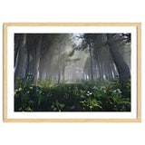 Art In The Forest thumbnail