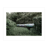 Graffiti pipe among the summer forest (Print Only) thumbnail