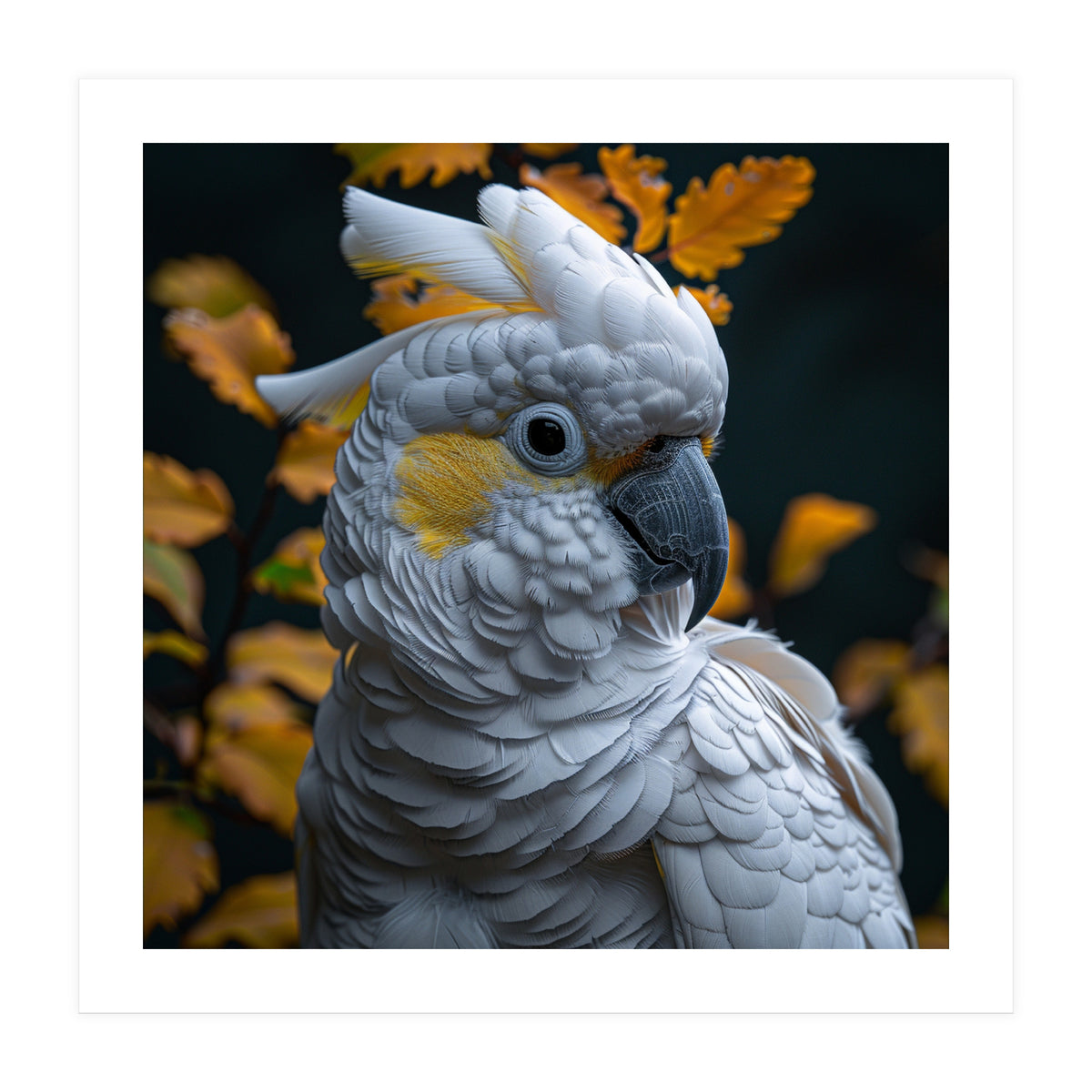 Yellow Crested Cockatoo Portrait Autumn Leaves Dark (Print Only)