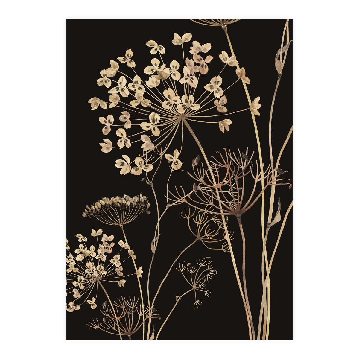 Wildflowers I (Print Only)