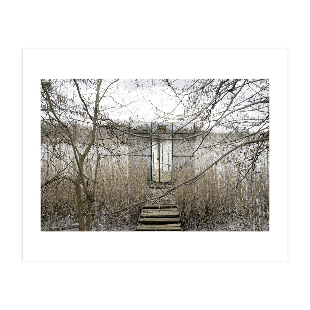 The gate to the lake (Print Only)