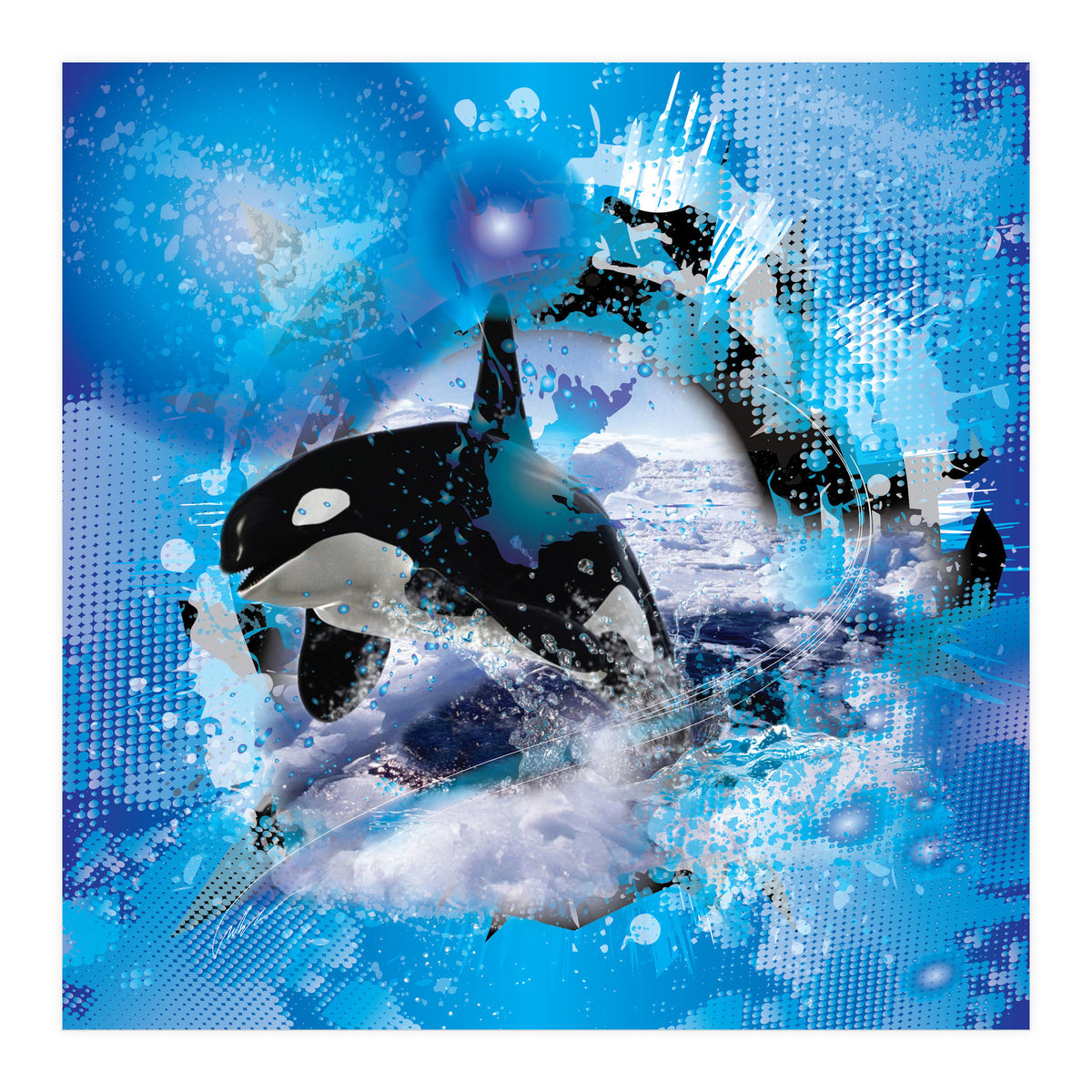 Orca (Print Only)