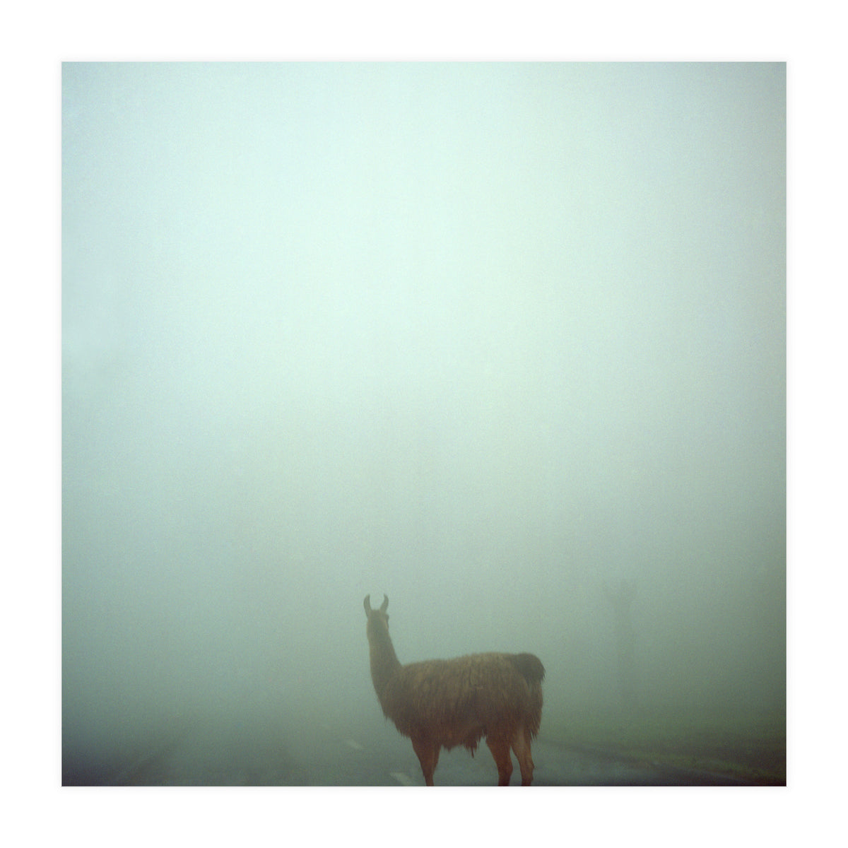 Silence of breath - 04 (Print Only)