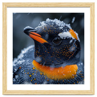 Close Up Penguin In Snow With Water Droplets