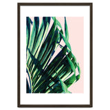 Palm V2 thumbnail