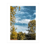 Autumn Evening (Print Only) thumbnail