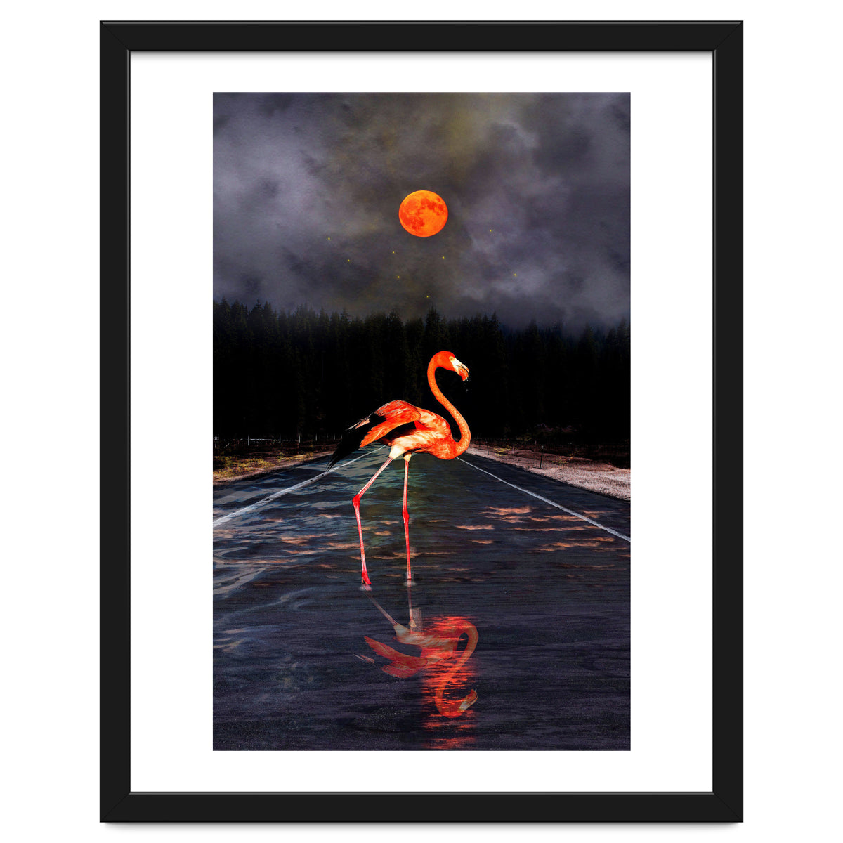 Flamingo and Red Moon