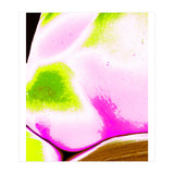 Lichen Hills (Print Only) thumbnail