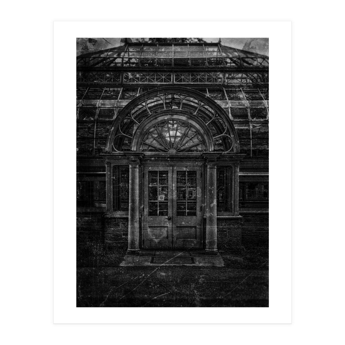 Allan Gardens Conservatory Palm House No 5 Old Film Version (Print Only)