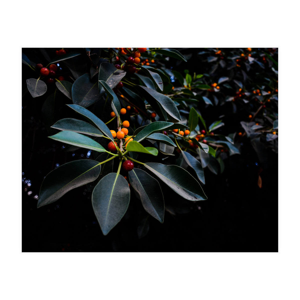 Orange, Green and Dark (Print Only)