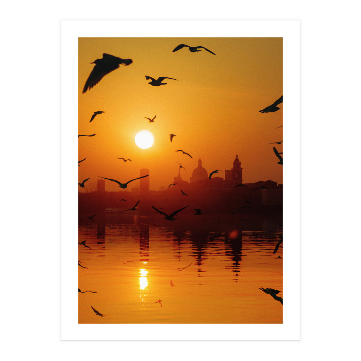 Charming Birds (Print Only)