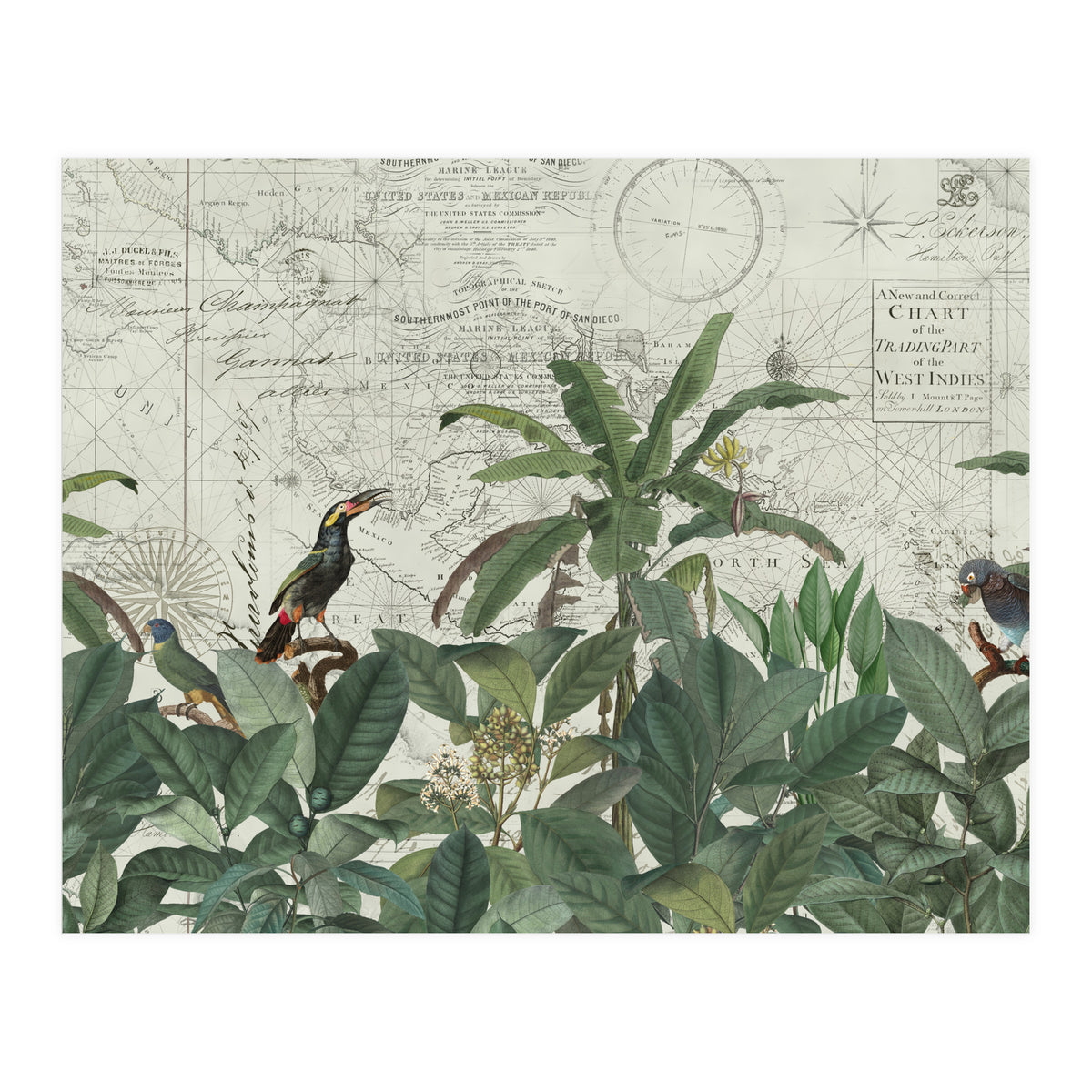 Explore The New World (Print Only)