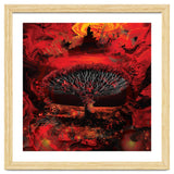Socotra Dragon Blood tree thumbnail