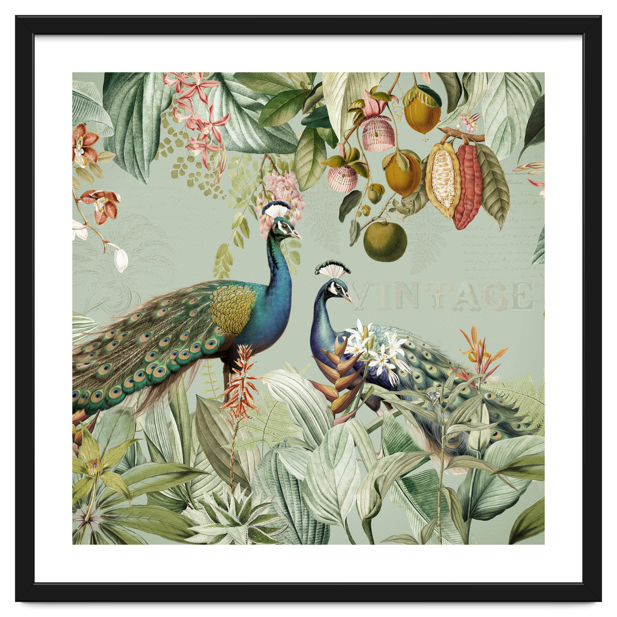 Vintage Exotic Asian Peacocks In Tropical Jungle Landscape