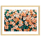 Floral Bliss, Nature Photography Garden Meadow, Blush Orange Coral Summer Flowers Botanical thumbnail