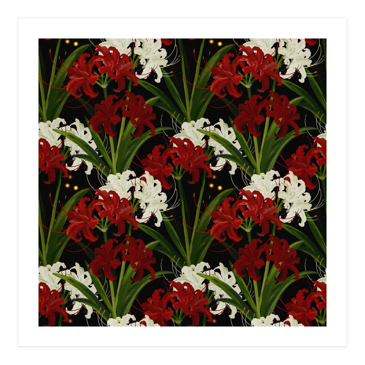 Red and White Spider Lily Flower Print Elegant Botanical Japanese Inspired Floral Artwork (Print Only)
