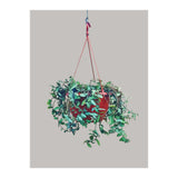 Hanging Plant (Print Only) thumbnail