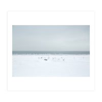 Seagulls in the Snow beach (Print Only)