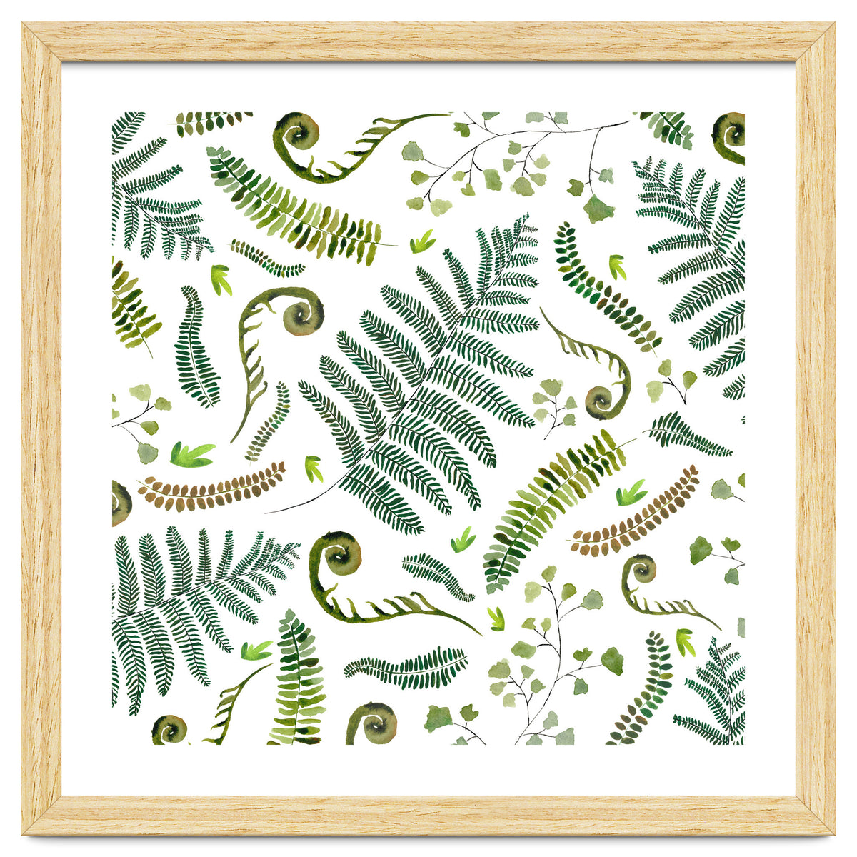 Spring Fern Pattern