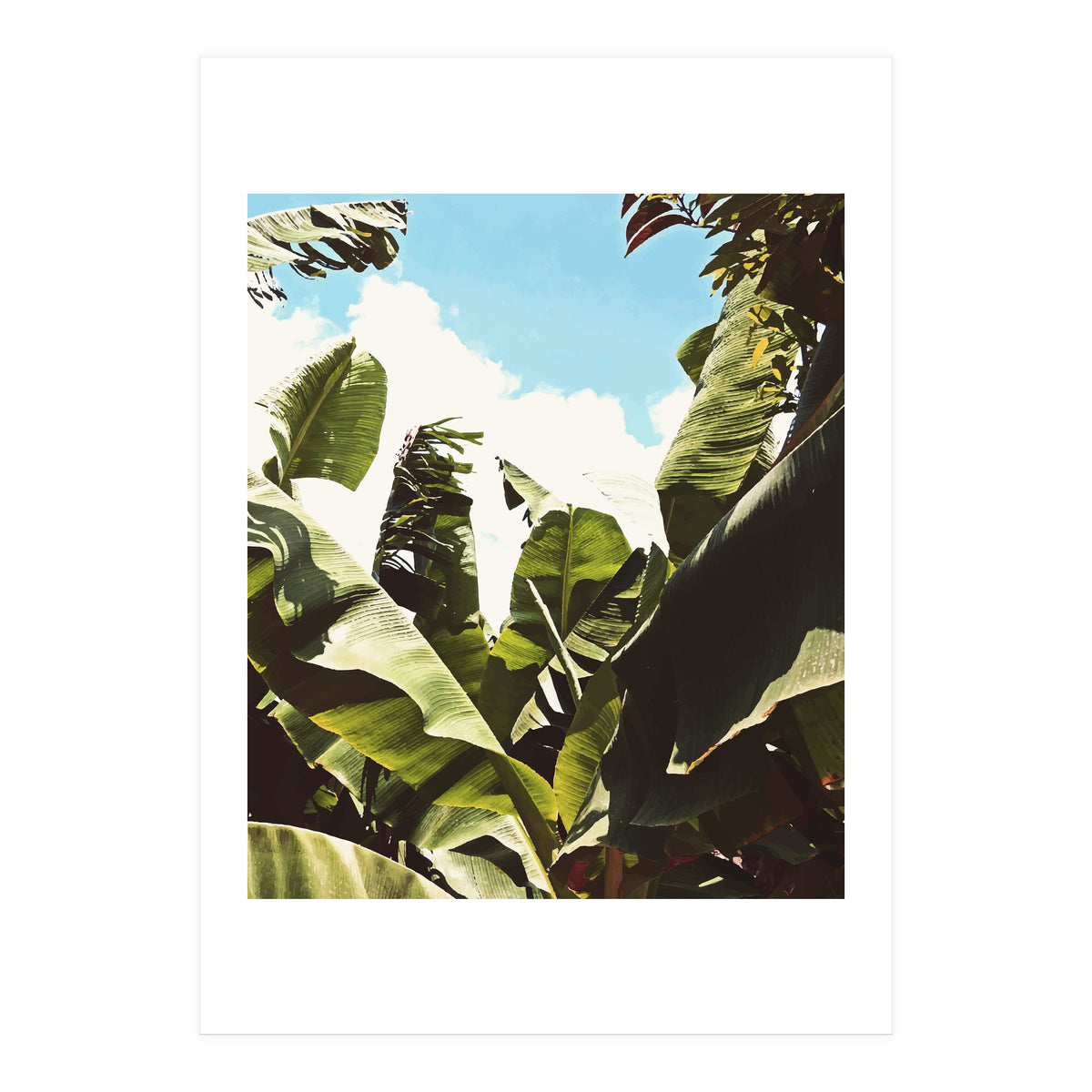 Silent Compilation (Print Only)