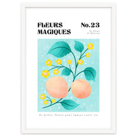 Magical Flowers No.23 Apricot Blossom