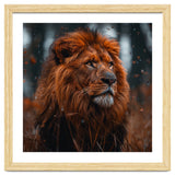 Majestic Lion King Of The Jungle Close Up Portrait thumbnail