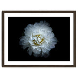 Backyard Flowers No 90 Color Version thumbnail
