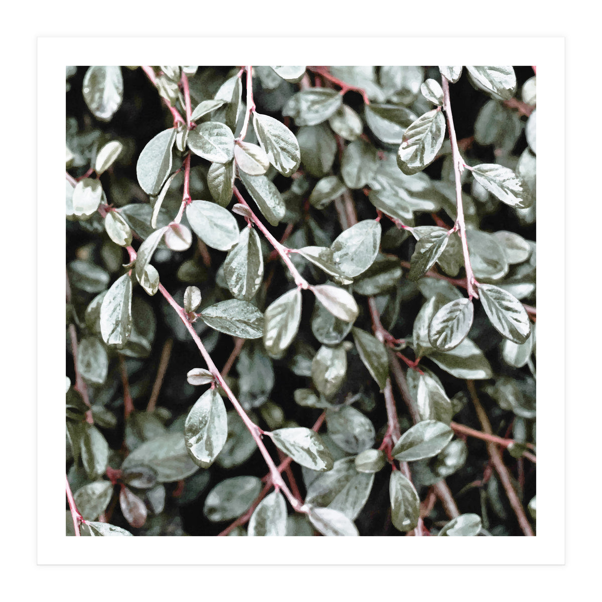 Rain #society6 #decor #buyart (Print Only)