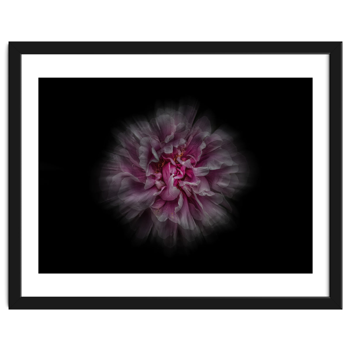 Backyard Flowers No 116 Color Flow Version