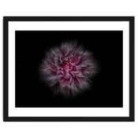 Backyard Flowers No 116 Color Flow Version