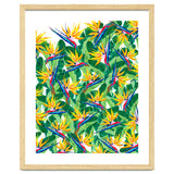 Summer Strelitzia thumbnail