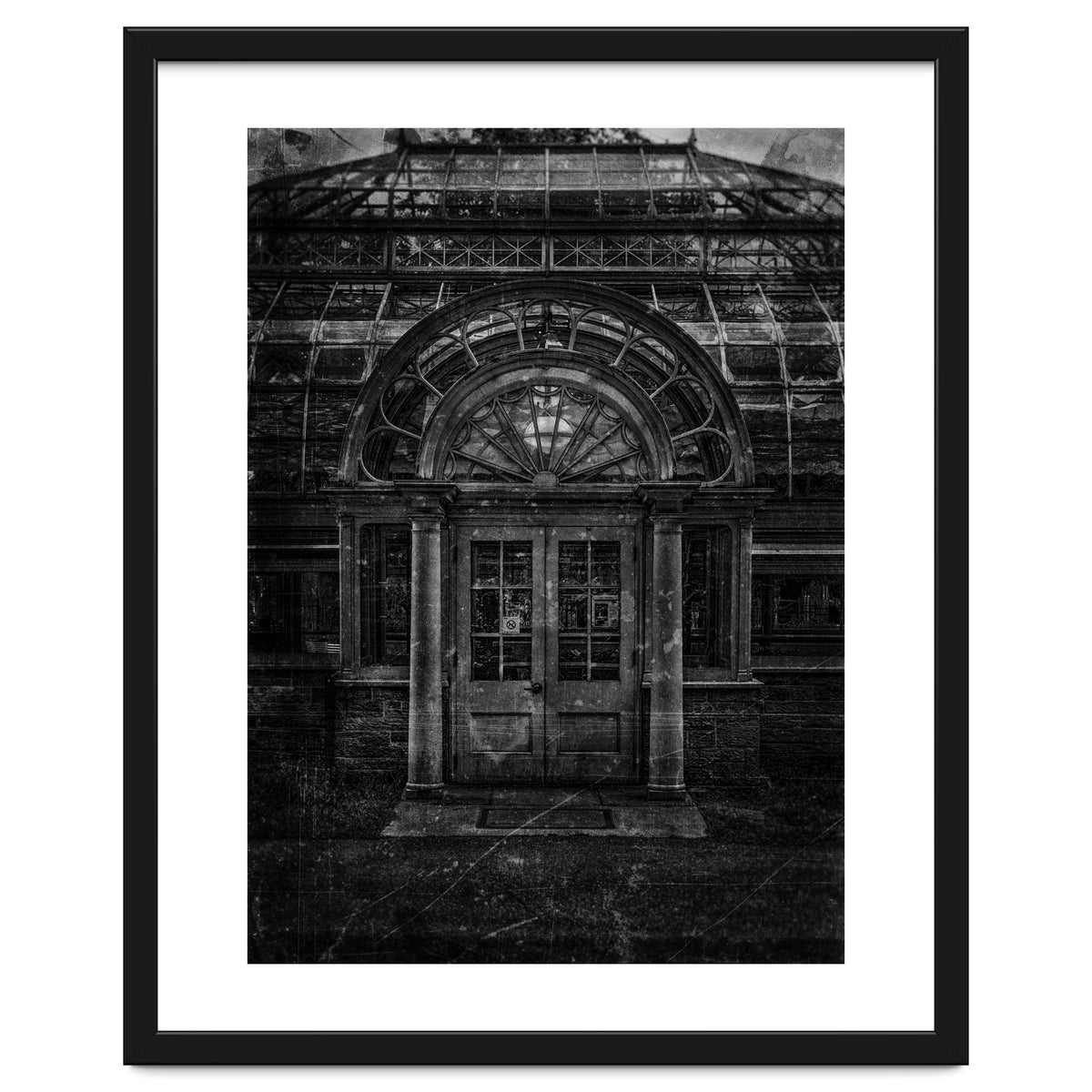 Allan Gardens Conservatory Palm House No 5 Old Film Version