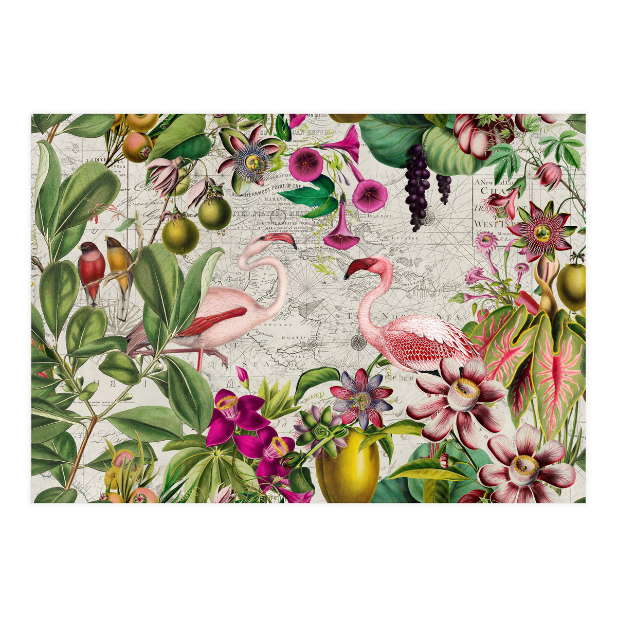 Flamingo Island 2 (Print Only)