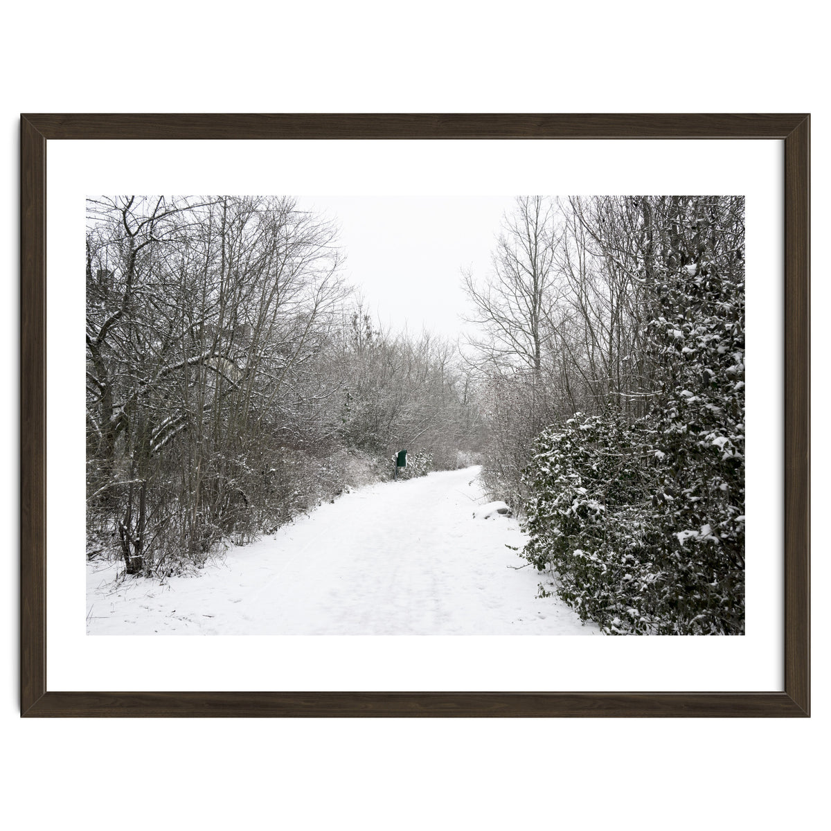 Walking through the snow park