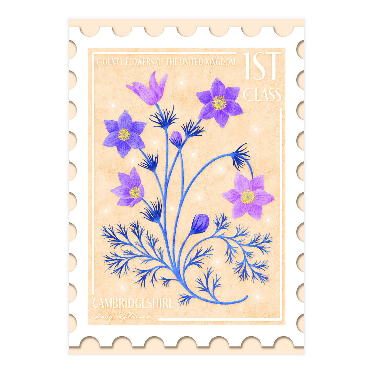 The Cambridgeshire Pasqueflower Postage Stamp (Print Only)